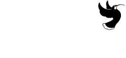 FinCap logo