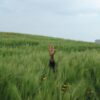 Field of grass with a single hand raised